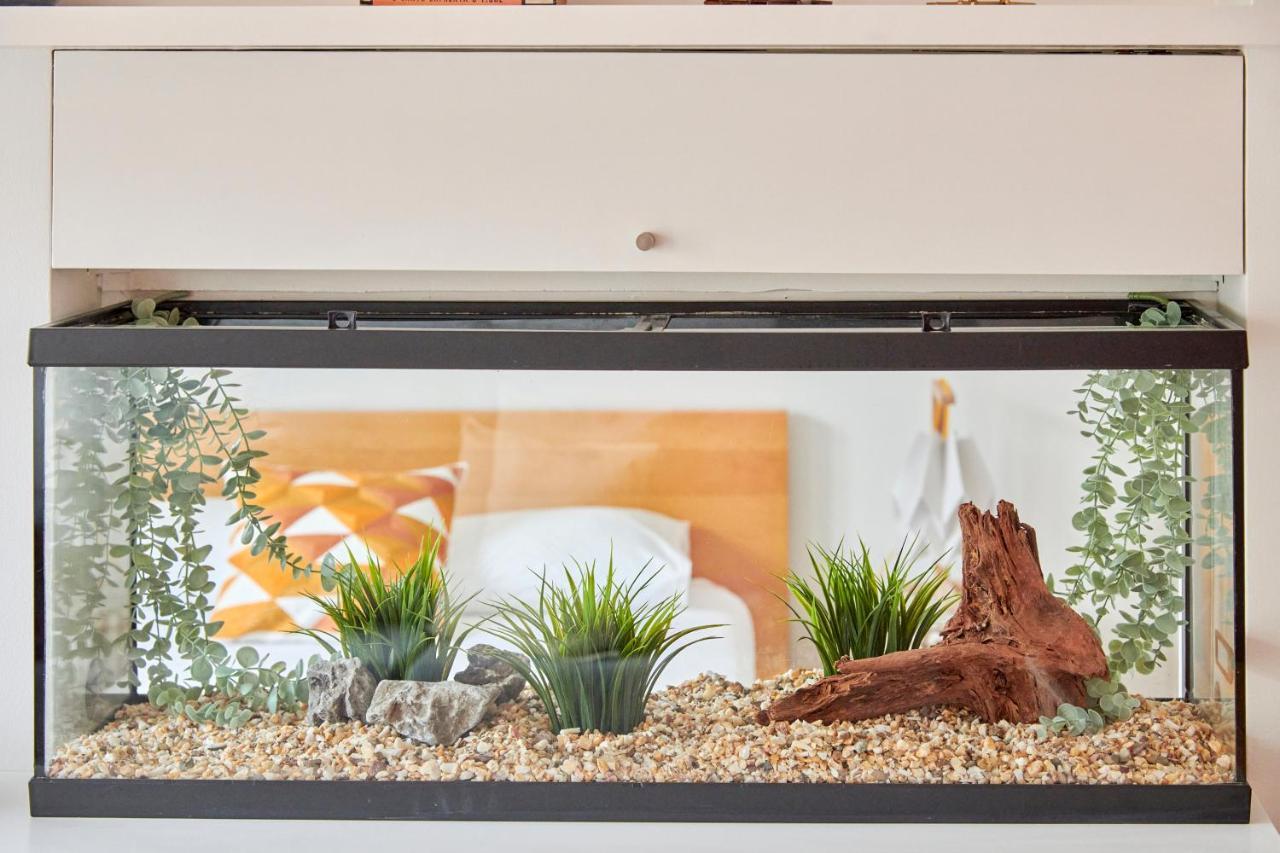 Sunny Renovated Apt With Ac, By Timecooler Lisboa 外观 照片